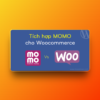 Plugin tích hợp thanh toán Momo cho WooCommerce