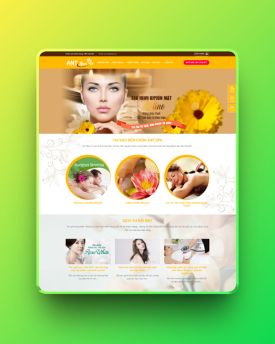 Theme wordpress Spa 02