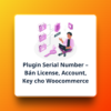 Plugin Serial Number