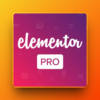 Elementor Pro
