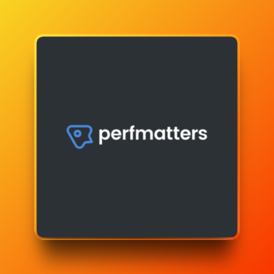 Perfmatters – Lightweight WordPress Performance Plugin